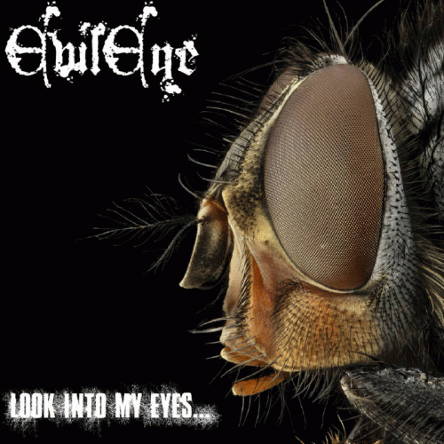 EvilEye : Look into My Eyes...